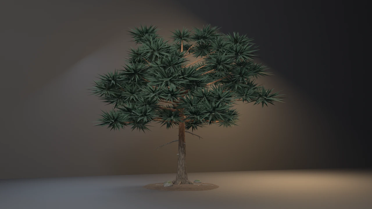 A 7 m pine on a dark studio floor: a red-barked trunk on a flared, rooted base, ten tiers of drooping branches carrying spiky dark-green needled shoots, narrowing to a leader.